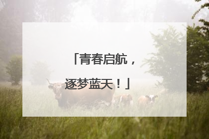 青春启航，逐梦蓝天！