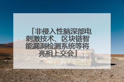 非侵入性脑深部电刺激技术、区块链智能漏洞检测系统等将亮相上交会