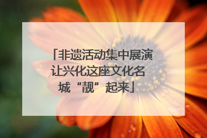 非遗活动集中展演 让兴化这座文化名城“靓”起来