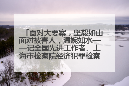 面对大要案，坚毅如山面对被害人，温婉如水——记全国先进工作者、上海市检察院经济犯罪检察部主任马玮玮
