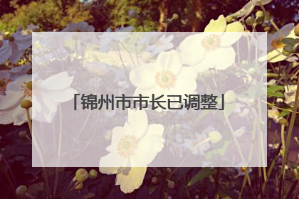 锦州市市长已调整