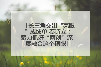 长三角交出“亮眼”成绩单 秦诗立：聚力抓好“两创”深度融合这个棋眼