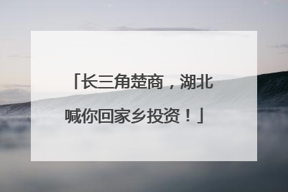 长三角楚商，湖北喊你回家乡投资！