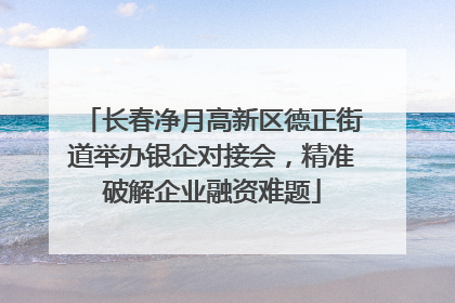 长春净月高新区德正街道举办银企对接会，精准破解企业融资难题