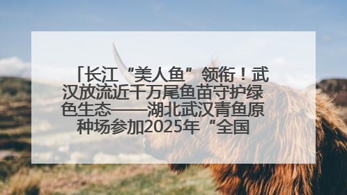 长江“美人鱼”领衔！武汉放流近千万尾鱼苗守护绿色生态——湖北武汉青鱼原种场参加2025年“全国放鱼日”增殖放流活动