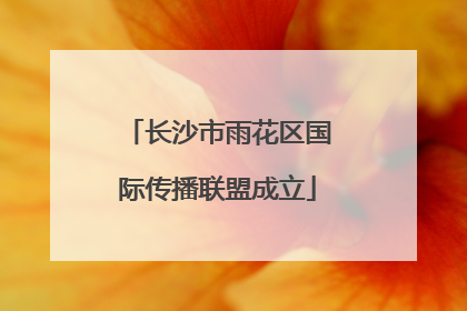 长沙市雨花区国际传播联盟成立