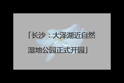 长沙：大泽湖近自然湿地公园正式开园