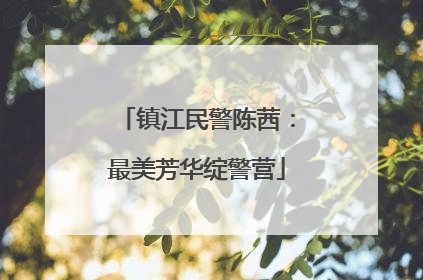 镇江民警陈茜：最美芳华绽警营