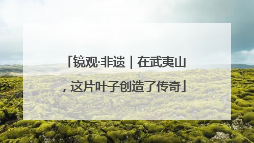 镜观·非遗｜在武夷山，这片叶子创造了传奇