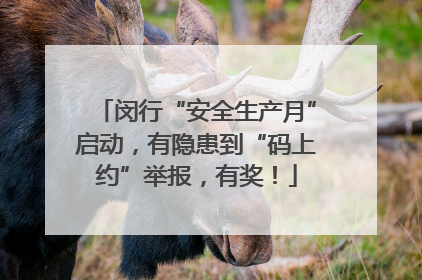 闵行“安全生产月”启动，有隐患到“码上约”举报，有奖！