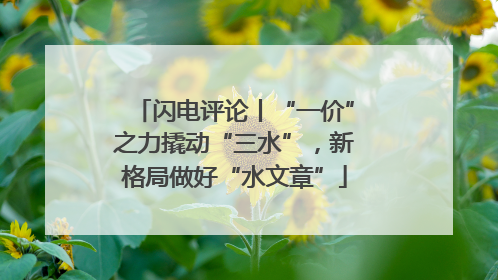 闪电评论丨“一价”之力撬动“三水”，新格局做好“水文章”