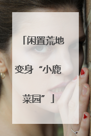 闲置荒地变身“小鹿菜园”