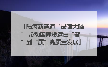 陆海新通道“最强大脑” 带动国际货运由“智”到“质”高质量发展