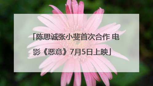 陈思诚张小斐首次合作 电影《恶意》7月5日上映