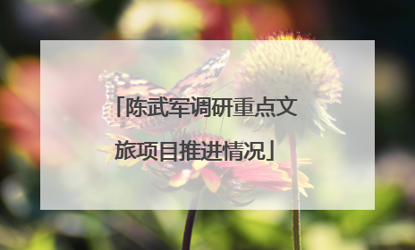 陈武军调研重点文旅项目推进情况