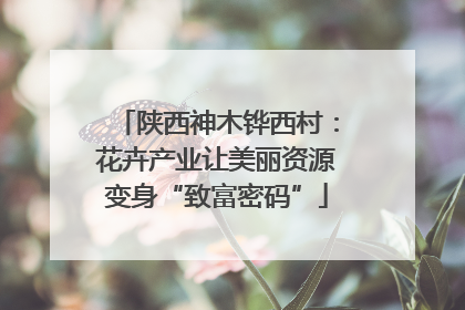陕西神木铧西村：花卉产业让美丽资源变身“致富密码”