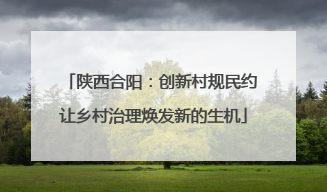 陕西合阳：创新村规民约让乡村治理焕发新的生机