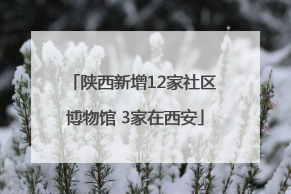 陕西新增12家社区博物馆 3家在西安