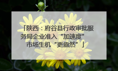 陕西：府谷县行政审批服务局企业准入“加速度” 市场生机“更盎然”