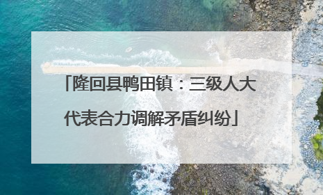 隆回县鸭田镇：三级人大代表合力调解矛盾纠纷