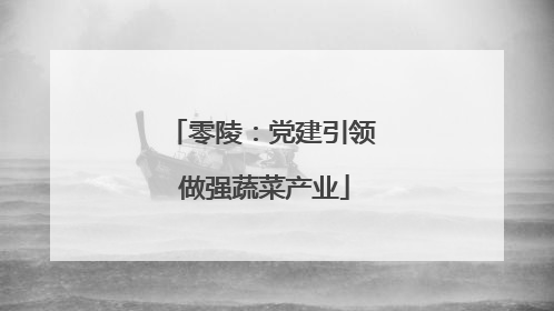 零陵：党建引领 做强蔬菜产业