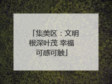 集美区：文明根深叶茂 幸福可感可触