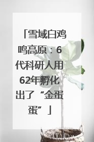 雪域白鸡鸣高原：6代科研人用62年孵化出了“金蛋蛋”