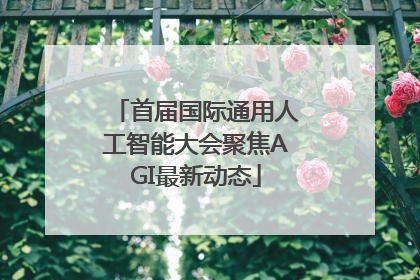 首届国际通用人工智能大会聚焦AGI最新动态