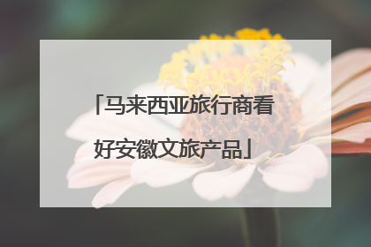 马来西亚旅行商看好安徽文旅产品