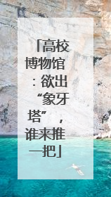 高校博物馆：欲出“象牙塔”，谁来推一把