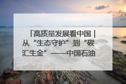 高质量发展看中国｜从“生态守护”到“碳汇生金”——中国石油大庆油田绿色蝶变