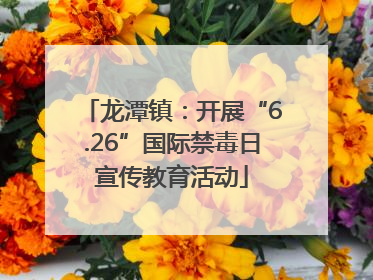 龙潭镇：开展“6.26”国际禁毒日宣传教育活动