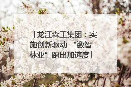 龙江森工集团：实施创新驱动 “数智林业”跑出加速度