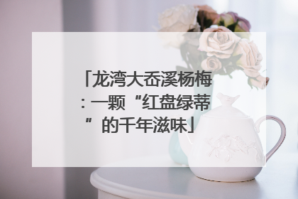 龙湾大岙溪杨梅：一颗“红盘绿蒂”的千年滋味