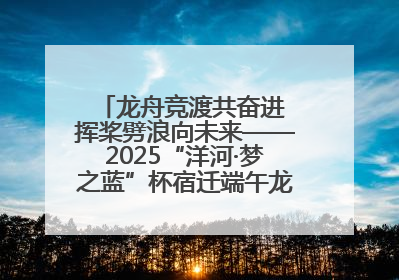 龙舟竞渡共奋进 挥桨劈浪向未来——2025“洋河·梦之蓝”杯宿迁端午龙舟赛侧记