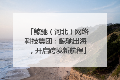 鲸驰（河北）网络科技集团：鲸驰出海，开启跨境新航程