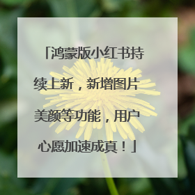 鸿蒙版小红书持续上新，新增图片美颜等功能，用户心愿加速成真！
