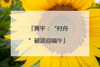黄平：“村舟”破浪迎端午