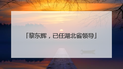 黎东辉，已任湖北省领导