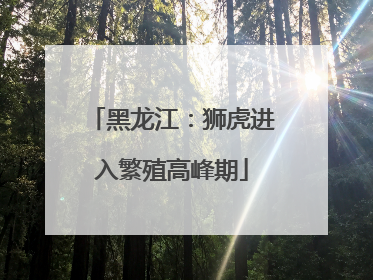 黑龙江：狮虎进入繁殖高峰期