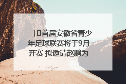 ﻿首届安徽省青少年足球联赛将于9月开赛 拟邀请赵鹏为先导赛开球