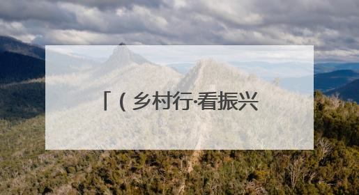 （乡村行·看振兴）“槜李之乡”浙江桐乡：“千年名果”铺就乡村共富路