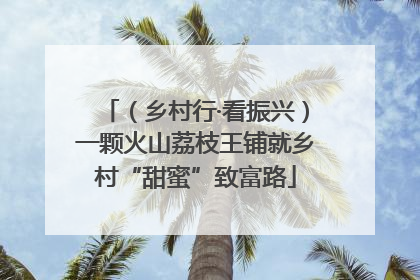 （乡村行·看振兴）一颗火山荔枝王铺就乡村“甜蜜”致富路