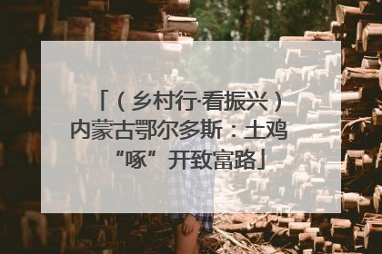 （乡村行·看振兴）内蒙古鄂尔多斯：土鸡“啄”开致富路
