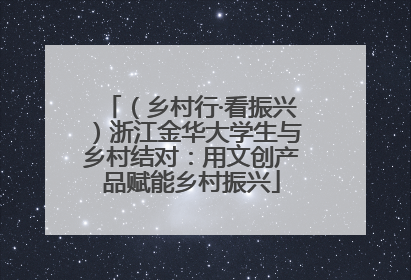 （乡村行·看振兴）浙江金华大学生与乡村结对：用文创产品赋能乡村振兴