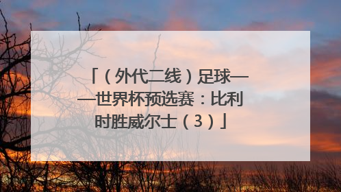 （外代二线）足球——世界杯预选赛：比利时胜威尔士（3）