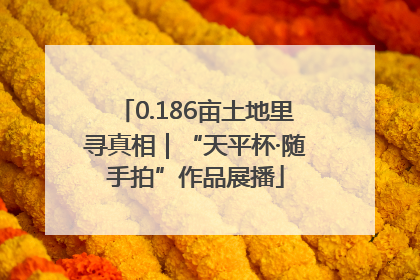 0.186亩土地里寻真相｜“天平杯·随手拍”作品展播