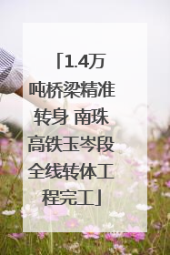 1.4万吨桥梁精准转身 南珠高铁玉岑段全线转体工程完工
