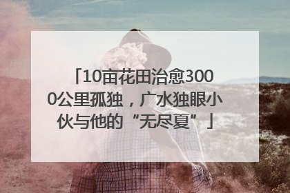 10亩花田治愈3000公里孤独，广水独眼小伙与他的“无尽夏”