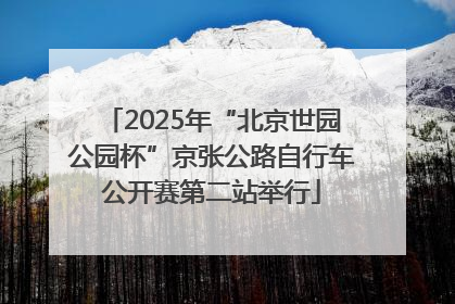 2025年“北京世园公园杯”京张公路自行车公开赛第二站举行